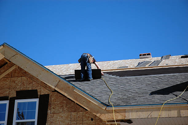 Best Roof Repair  in Reese, MI