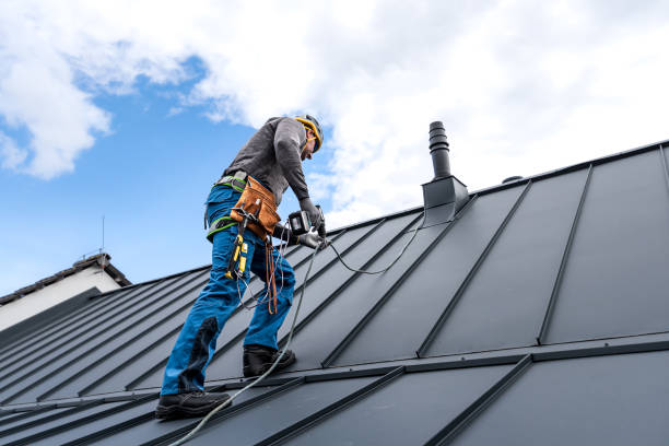 Best Roof Coating and Sealing  in Reese, MI